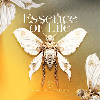 Adam Dietze - Essence Of Life Ft Tommy Haks & Synthodic