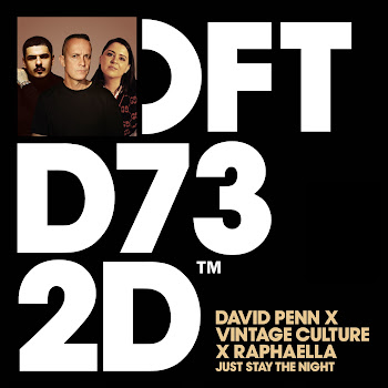 David Penn - Just Stay The Night Ft Vintage Culture & Raphaella