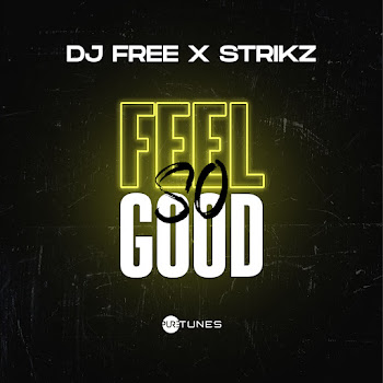 Dj Free - Feel So Good Ft Strikz