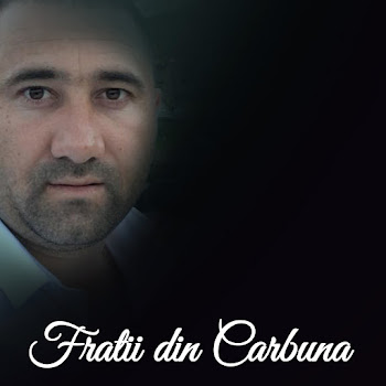 Fratii Din Carbuna - Haide Vino Viața Mea