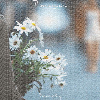 Kamenskiy - Ромашки