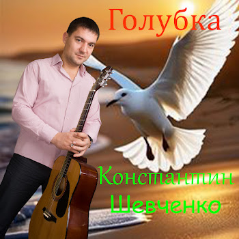 Константин Шевченко - Голубка