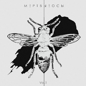 Мёртвые Осы - Контроль