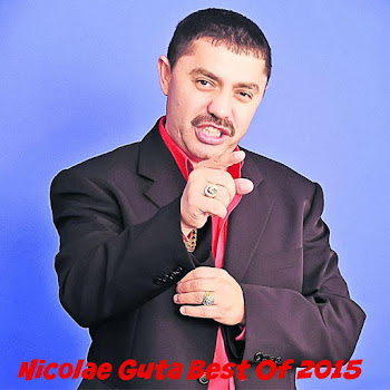 Nicolae Guta - Unde S-Au Dus Anii Mei
