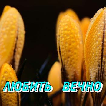 Сергей Грищук - Любить Вечно
