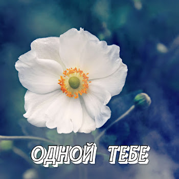 Сергей Грищук - Одной Тебе