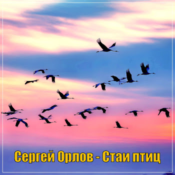 Сергей Орлов - Стаи Птиц