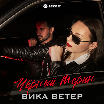 Вика Ветер - Чёрный Мерин