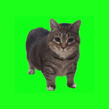 W&W - Oiia Oiia (Spinning Cat) (Extended Mix)